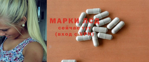 хмурый Белокуриха