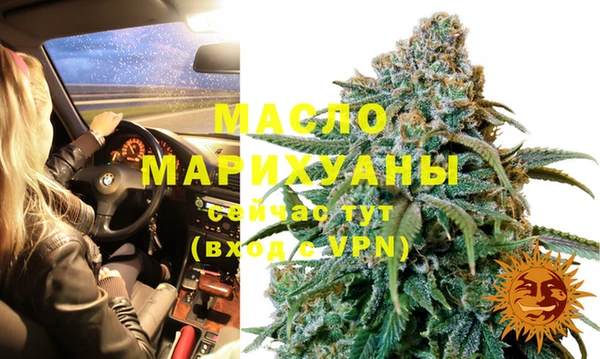 хмурый Белокуриха
