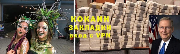 хмурый Белокуриха